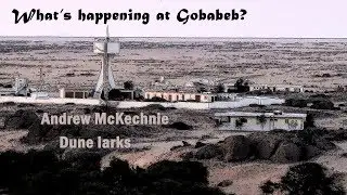 2 minute Gobabeb. Dune larks in the Namib dune sea