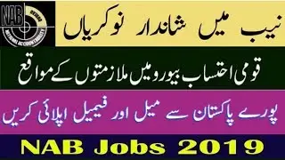 NAB jobs 2019 | national Accountability Beauru PTS jobs