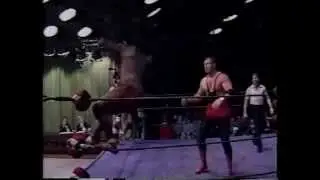 4/34 Undertaker Rookie Year In Wrestling 1989 Timeline