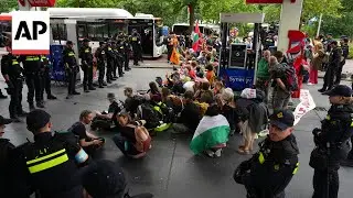 Police detain protesters in the Hague during sit-down NATO protest