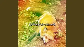 Lull To Sleep