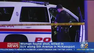 29-Year-Old Woman Killed In Shooting