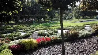 Parcul Central &bdquo;Anton Scudier&rdquo; Timisoara