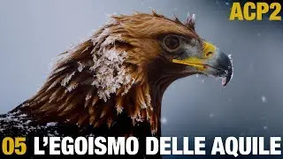 ANIMALI CHE PARLANO 2 – L'egoismo delle aquile