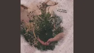 Four Walls