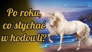 [HR] Obchodzę 1 rok w grze!