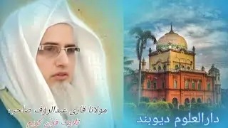 Maulana Qari Abdurrauf sahab bulandshahri #darululoomdeoband.#قاری عبدالرؤف صاحب بلند شہری 
