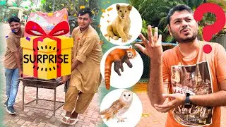 Big Zoo me Kya surprise Animal agya? is main Kiya hoga gift?