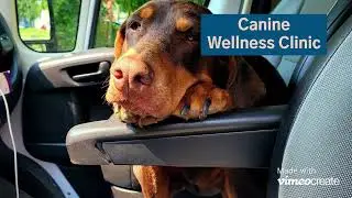 Canine Wellness Clinic March 6th 2022
