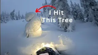 FULL THROTTLE into a Tree