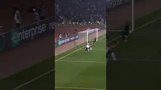 Wow, no look pass 