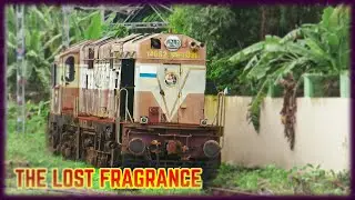 Once Ruled The Tracks of Kerala ❤&zwj;🔥 Eternal Sleeping ERS Beauties