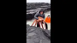 GIANT OCTOPUS ATTACKS WOMAN ON ROCKS! 😱🐙 #Shorts
