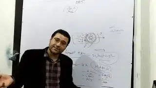 Thrombotic micro-angiopathy Dr Aly Elkholy (Arabic)