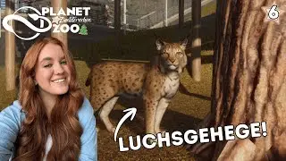 Die Luchse ziehen ein! | Zimtsternchen Zoo - Planet Zoo Stream 6