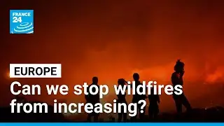 Southern Europe suffocates in deadly heat-fuelled wildfires • FRANCE 24 English