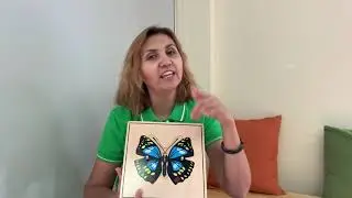 Butterfly life cycle, Montessori
