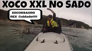Pesca ao Choco a divers&atilde;o do sado