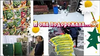 Везде бардак,а мы покупаем землю😅.