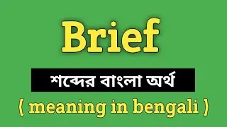 Brief Meaning in Bengali || Brief শব্দের বাংলা অর্থ কি? || Word Meaning Of Brief