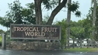 Tour Tropical Fruit World with us @AdventuresofJenandDean
