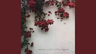 Whatever's Left / Hold It Together