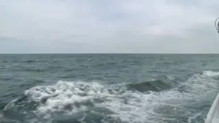 The Argos Drifter