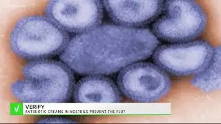 Verify: Antibiotic creams in nostrils prevent the flu?