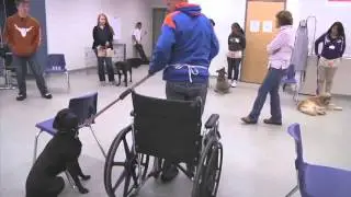 Pawsitive Action @ Harmony HS Vet Assisting Program