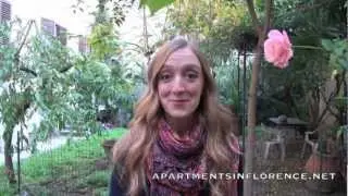 Rose Garden Apartment: Student / Holiday / Vacation Rental in Florence, Italy
