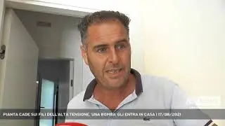 PIANTA CADE SUI FILI DELL'ALTA TENSIONE, 'UNA BOMBA' GLI ENTRA IN CASA | 17/08/2021