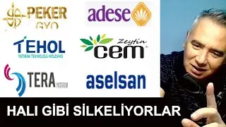 Adese Gyo - Aselsan - Cem Zeytin - Tehol - Peker Gyo - Tera Yatırım Hisse Yorum - Borsa İstanbul