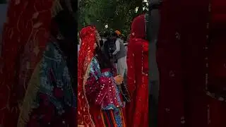 Pashtun Culture day, Punjab University Lahore| #culture #pashto #music #attan #love #viral #peace
