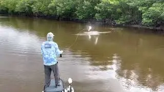 Everglades Fly Fishing Guide, Captain Ren Stanley of www.serenityflyfishing.com Tarpon on Fly