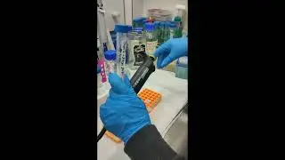 ABTS antioxidant analysis calibration curve with standard