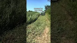 Прессование суданской травы и сорго для пастбищных свиней #покровнаякультура #фермерство #управле...