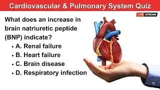 🩺 Cardiovascular and Pulmonary System Quiz by Nurse Eunice 🫁