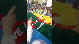 vive la femme kabyle