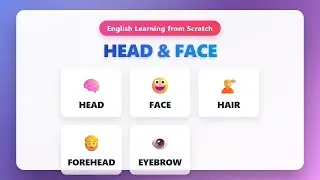 Head & Face Body Parts in English for Beginners 🧠