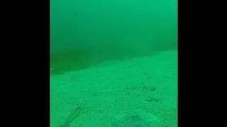 Port Victoria Under Water Footage Ep. 4