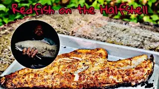 Red Drum on the Half Shell ***Try This Tuesday***