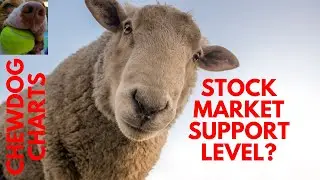 Does This Chart Indicate A Stock Market Support Level?