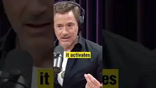 The Genius of the Marvel Creative Team💫Robert Downey Jr vs Joe Rogan #marvel #comics
