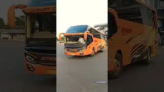 REKOMENDASI BUS KE PULAU BALI🔥🔥 Bus Setiawan Tulungagung - Denpasar. #busmalam #setiawan #denpasar