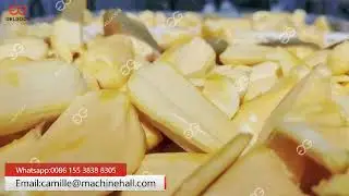 Jackfruits Washing Machine