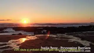 Inelia Benz  Processing Barriers - subtitrat lb. romana