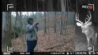 Moultrie edge trail camera big buck #deerhunting #nature ￼￼