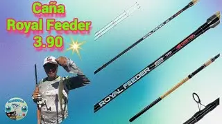 Royal Feeder 3 punteros #pejerrey #review