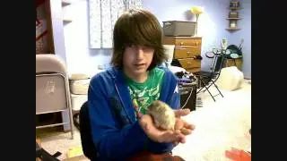 Meet Sonic :)