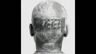 Chris Brown - Hate Being Human (Speed Up)